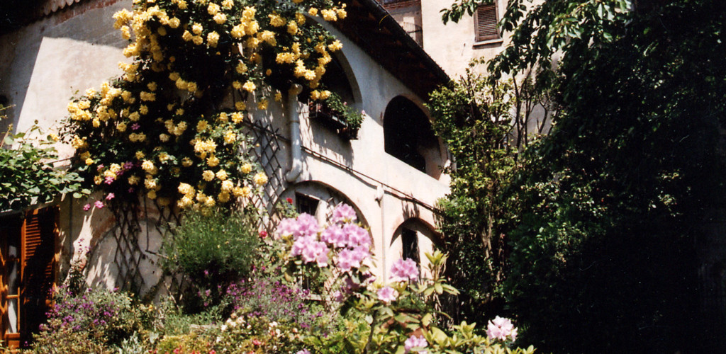 B&B Le Camelie